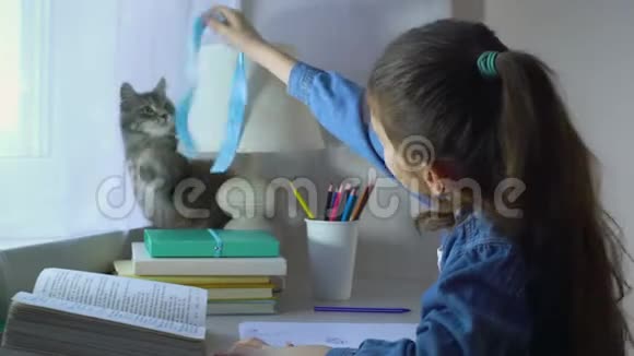 可爱的女孩和她的宠物猫玩而不是做家庭作业视频的预览图