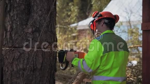 伐木工人锯刀油锯树干视频的预览图