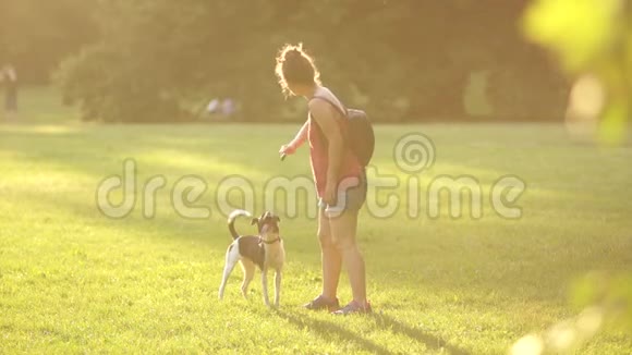 女孩正在草地上的公园里训练她的狗扔一根棍子狗跑过来拿夕阳西下的夏日阳光视频的预览图