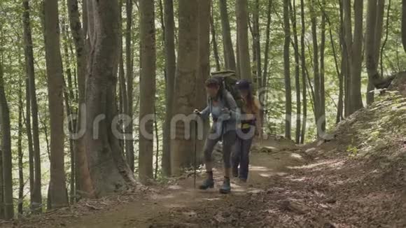 暑假游客在森林徒步旅行登山和徒步旅行视频的预览图