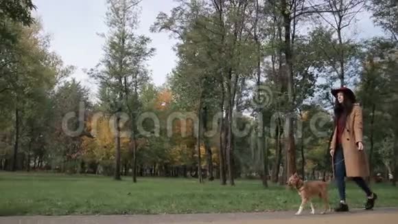秋日公园里一个带着小狗散步的迷人女人视频的预览图