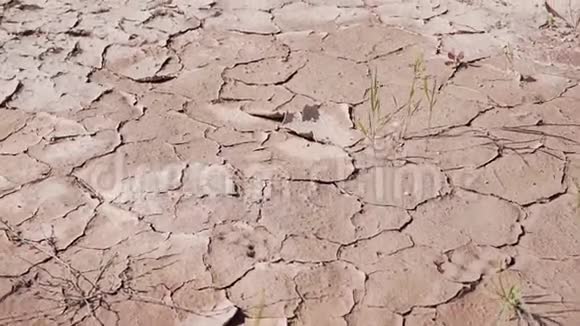 特写镜头在没有水的情况下破裂无生命的土壤视频的预览图