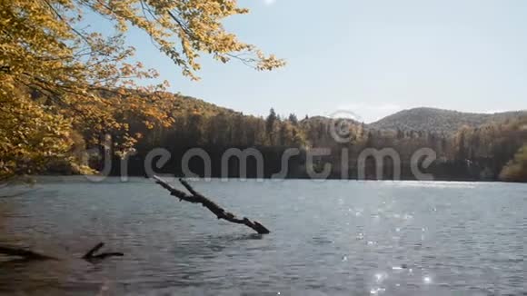 普利特维卡湖国家公园的湖泊和性质视频的预览图