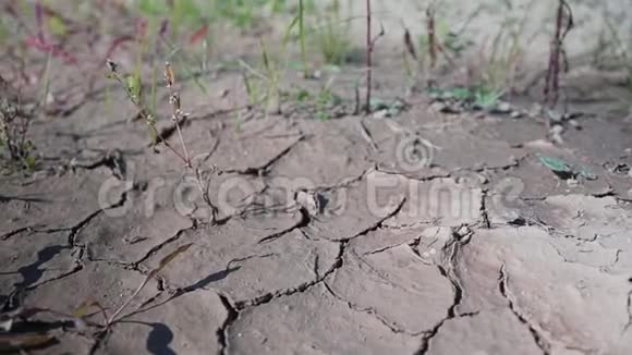 干裂解土运动的影像学方案植被稀疏视频的预览图