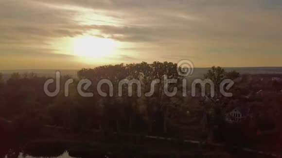 日落时分美丽的湖景和城市景色飞过树木视频的预览图