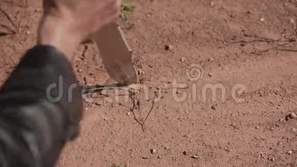 用刀子特写一只手一个人在干燥坚硬的地面上抓着什么东西视频的预览图