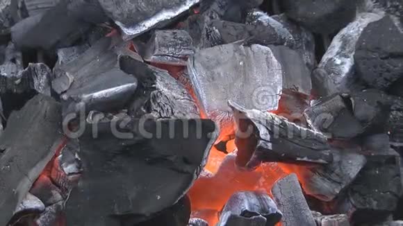 在烧烤里烧煤视频的预览图