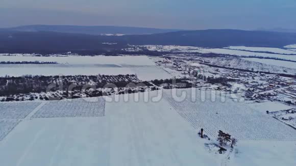 雪域田园风光中的雪景村庄视频的预览图