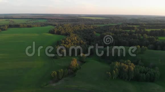4K空中飞过一片美丽的绿色草地视频的预览图