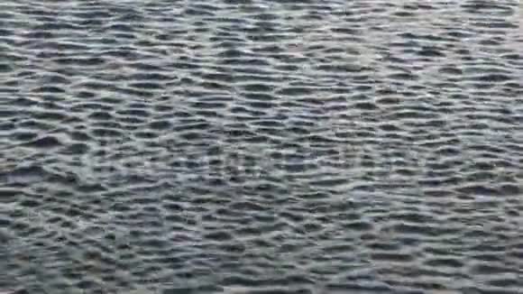 水上荡漾着美丽而有趣的涟漪视频的预览图