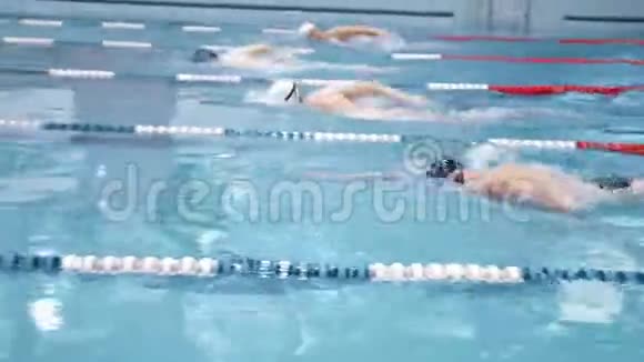 一组在游泳池进行爬行训练的年轻男子专业游泳运动员视频的预览图