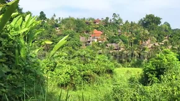 坎布汉岭步行风景优美的绿谷在乌布达巴利4k视频录像视频的预览图