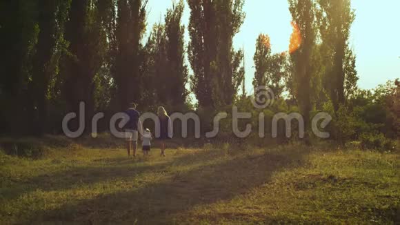 一家人在日落时在公园散步离开镜头视频的预览图