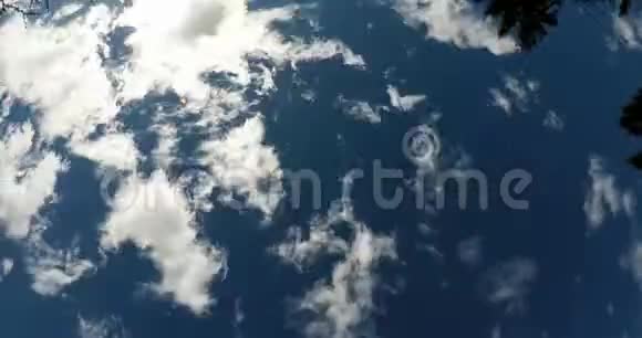 从广角视角看云随太阳和树枝的流逝视频的预览图