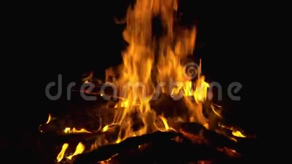 在火里把燃烧的柴火关起来野营农村生活壁炉里的火视频的预览图