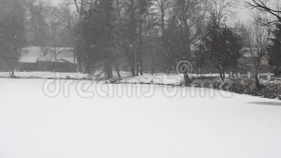 大雪期间的小池塘景色视频的预览图