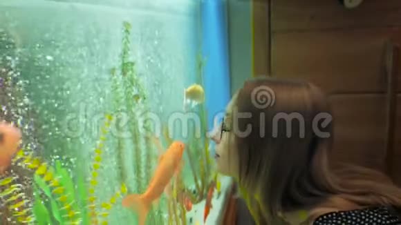 一位年轻女子好奇地看着在大水族馆里游泳的鱼视频的预览图
