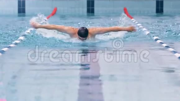 游泳比赛前欧洲男性游泳运动员在训练中进行蝶泳表演视频的预览图