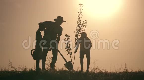 一个幸福的家庭父亲和两个儿子在日落时在公园里种树并浇水幸福家庭的概念视频的预览图