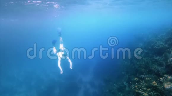 女人在珊瑚礁上浮潜240fps视频的预览图