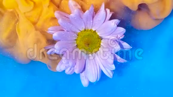 浅粉色的花朵慢慢地包裹着黄色和蓝色的墨水视频的预览图