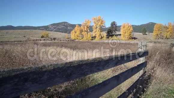 牧场秋树和围栏4KUHD视频的预览图