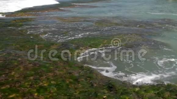 强烈的海浪冲刷着褐色的珊瑚礁带绿色海藻视频的预览图