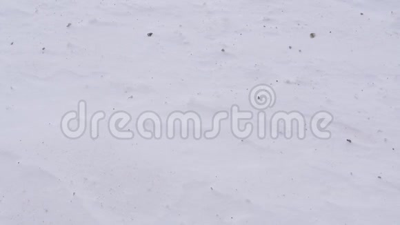 室外雪地里有人的脚步声视频的预览图