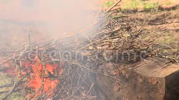 树枝在壁炉里燃烧从火中升起的烟雾视频的预览图