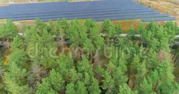 有无人机的高针叶林靠近大型太阳站视频的预览图