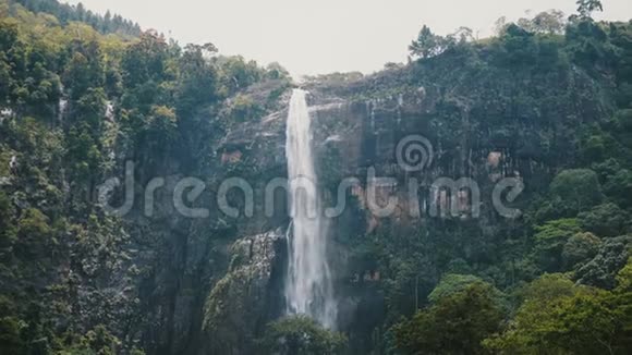 美丽的中镜头大型丛林瀑布的景观背景在异国情调的斯里兰卡森林中奔腾而下视频的预览图