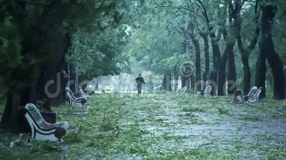 暴风雨危险天气慢动作期间男子在公园散步视频的预览图