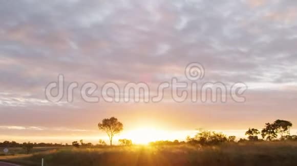 日落和树木与草田视频的预览图