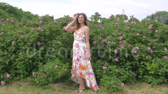 玫瑰花丛中一个穿着漂亮快乐的女人的肖像视频的预览图