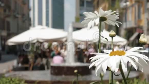 意大利米兰科索科莫的人们吃喝前景中的花朵柔和的焦点视频的预览图
