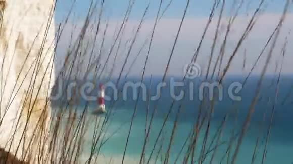 灯塔和白垩悬崖的景色透过摇曳的干草茎视频的预览图