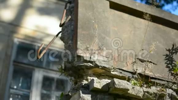 年轻的商人建筑师在非常老的废弃的砖墙附近视频的预览图