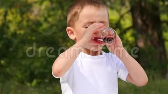 快乐的孩子坐在大自然的背景下喝着浆果汁可爱的男孩笑了笑视频的预览图