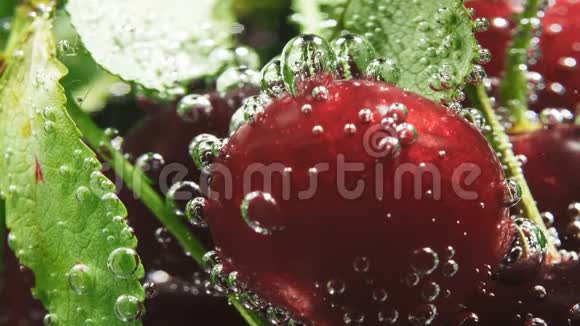 红樱桃和苏打泡宏视频的预览图