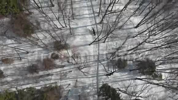 冬天的森林骑马的女人空中景观视频的预览图