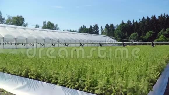 种植园浇水设备农用工业自动浇水视频的预览图
