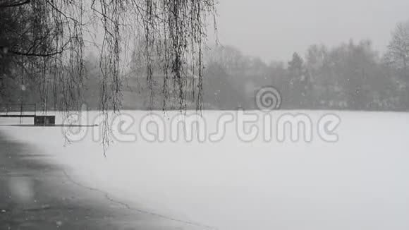 大雪期间的小池塘景色视频的预览图