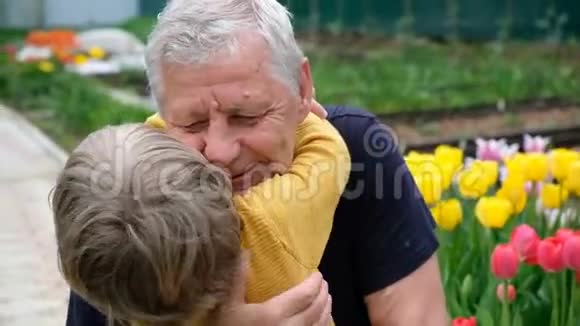 可爱的小男孩拥抱他的祖父夏天在户外视频的预览图