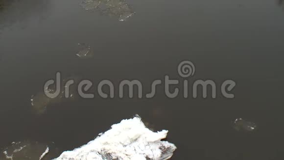 冬季森林树间的河水上浮着冰视频的预览图