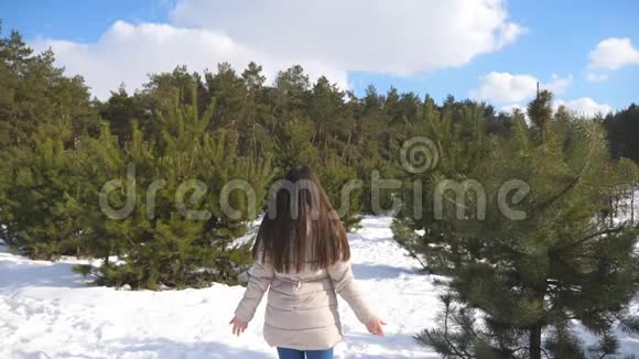少女站在一片雪林的背景上举起双臂女人享受冬天的风景和自由后方视频的预览图
