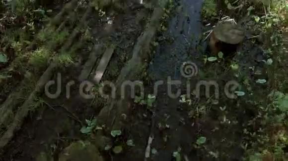摄像机低低地飞过湿地飞向一个干净的湖4K视频的预览图