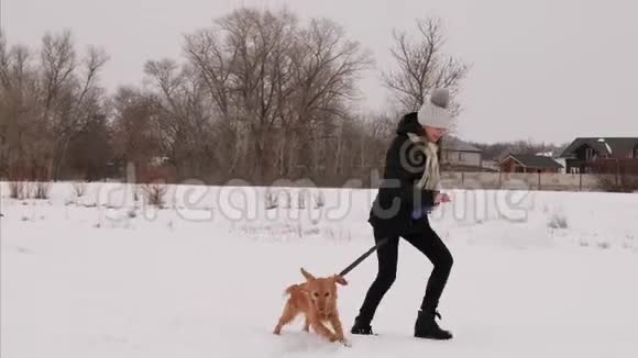 圣诞节早晨女孩在冬天的公园里玩狗狗和女孩在雪地里奔跑视频的预览图
