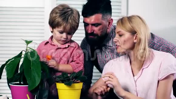 这个男孩和他的父母刚刚种在彩色花盆里的水花小园丁夏季盆栽视频的预览图