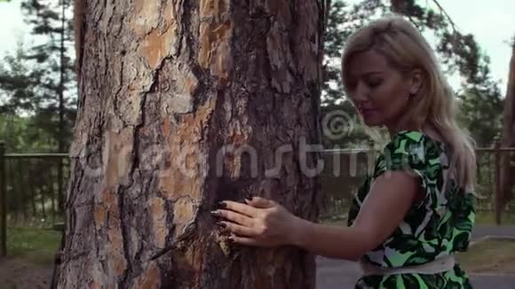 迷人的女人在夏天公园的松树树干上走来走去视频的预览图