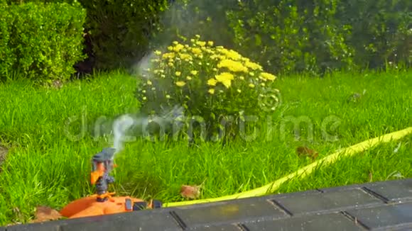 喷头自动浇灌丛草和草坪在绿草上喷水灌溉系统视频的预览图
